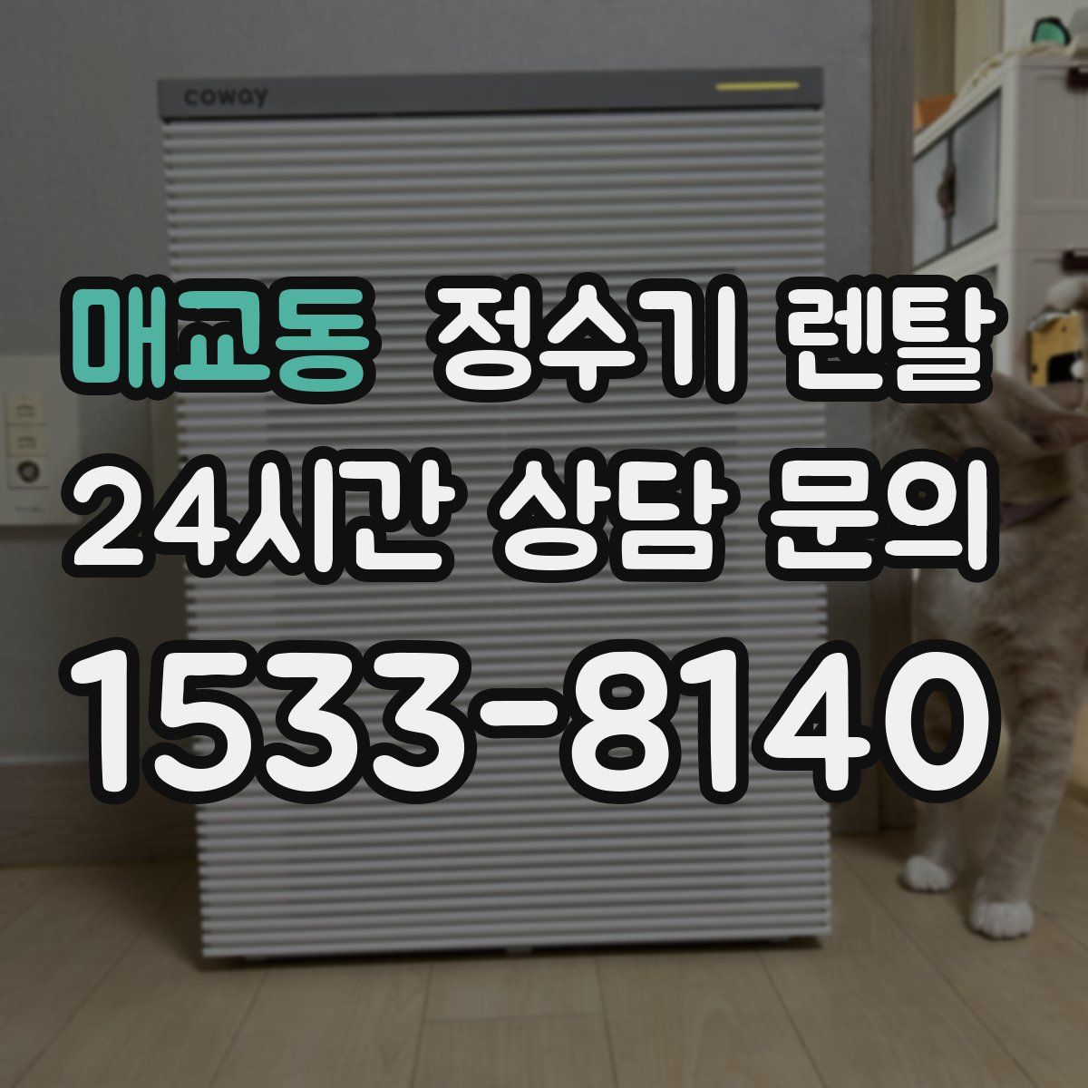 매교동 정수기 렌탈