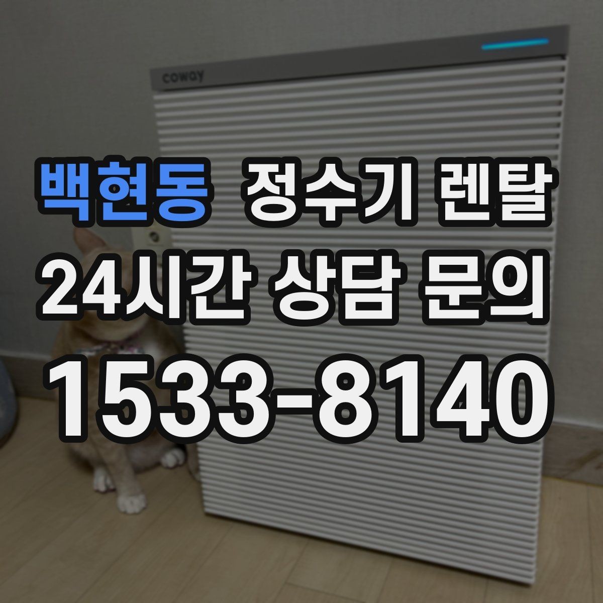 백현동 정수기 렌탈 정수량 부족이 생기는 대표 상황