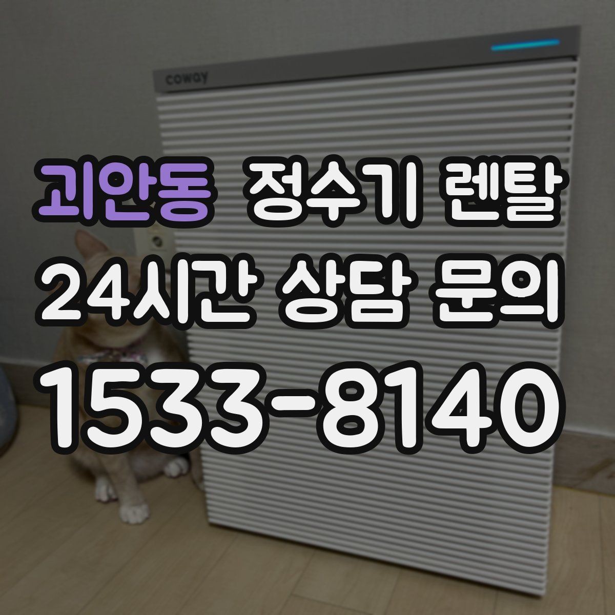 괴안동 정수기 렌탈 이전 설치 가능 범위를 미리 확인해야 하는 이유