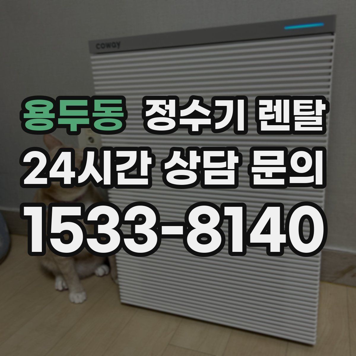 용두동 정수기 렌탈 페트병 쓰레기 줄이는 현실적인 방법