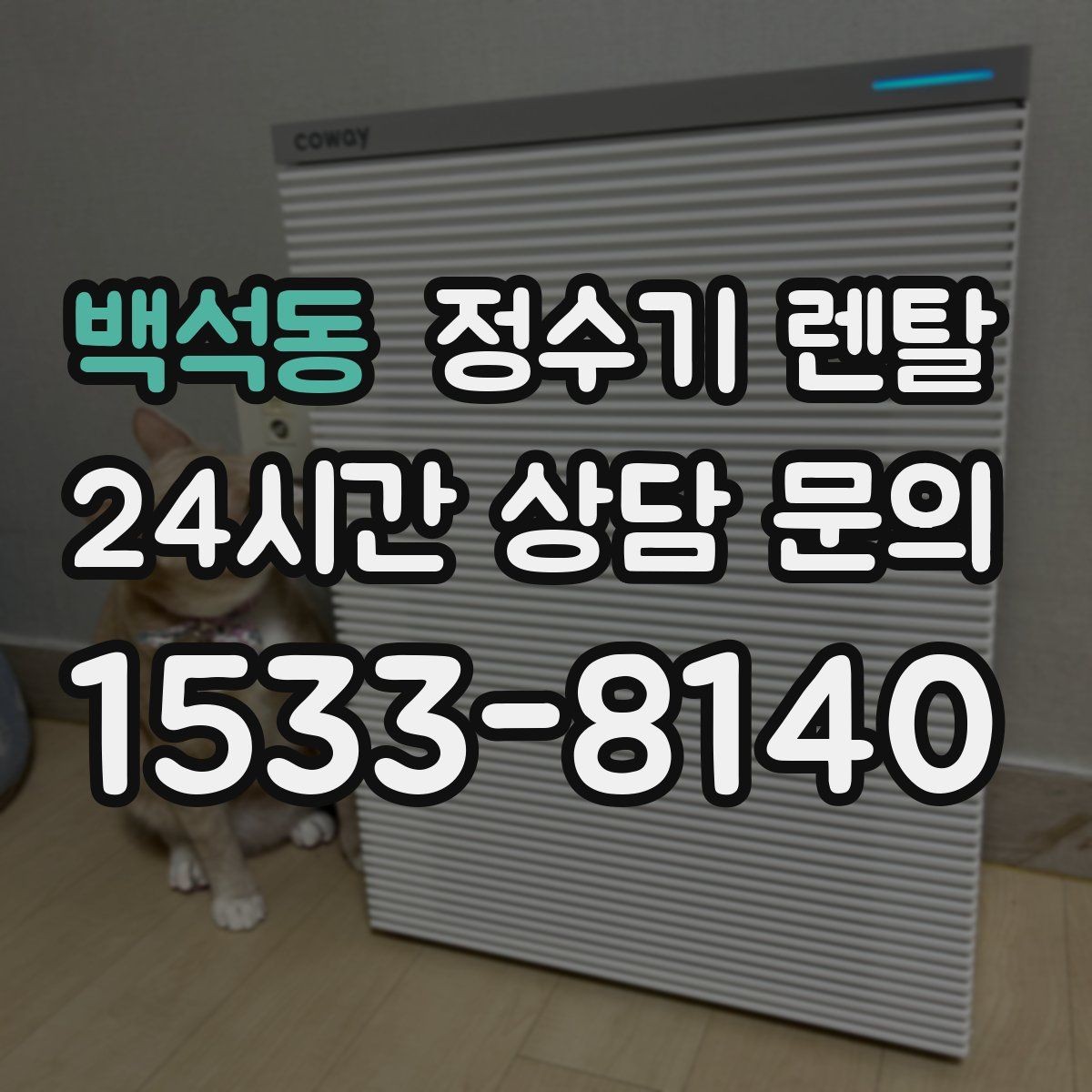 백석동 정수기 렌탈 슬림형이 필요한 집의 특징