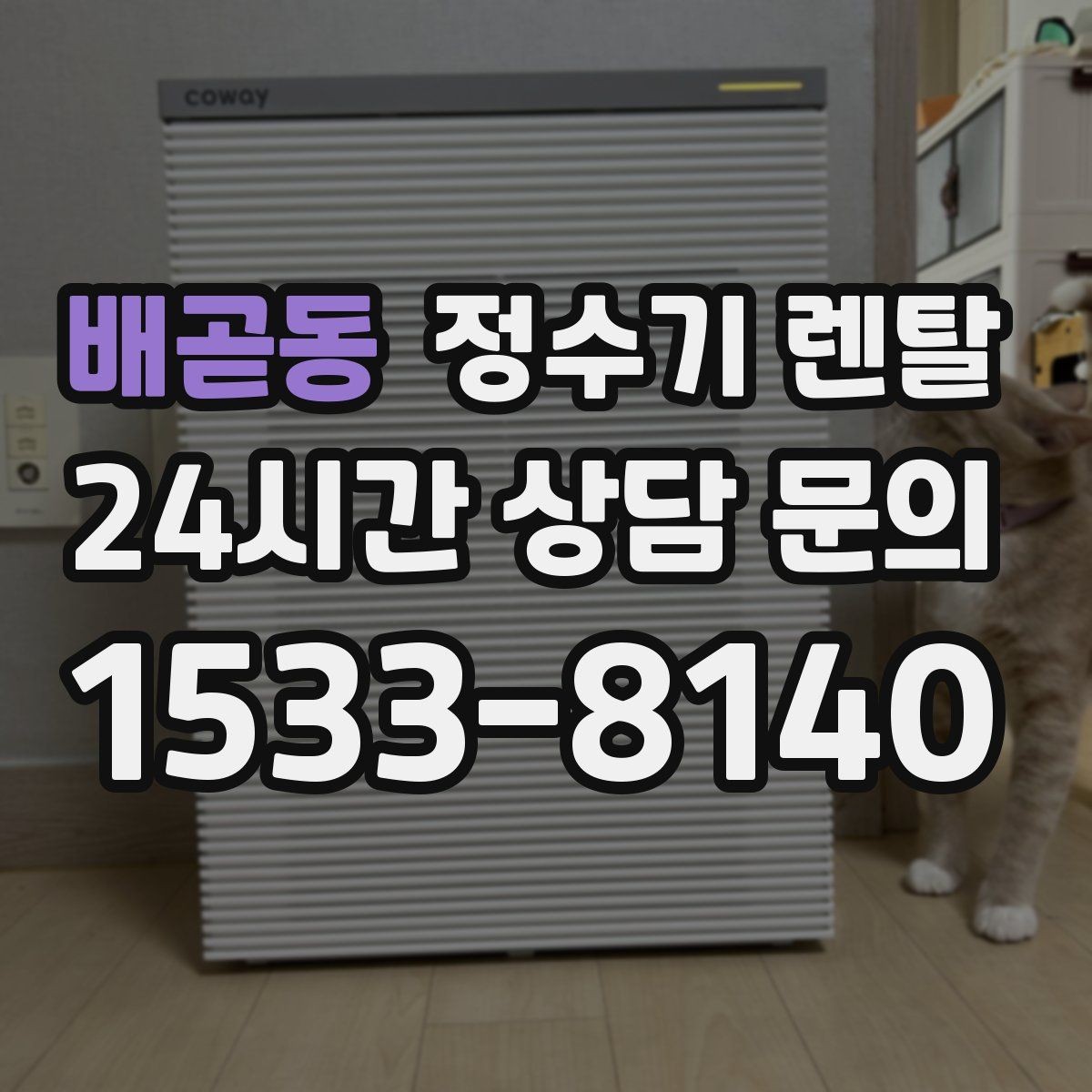 배곧동 정수기 렌탈 염소 냄새가 강할 때 선택 기준