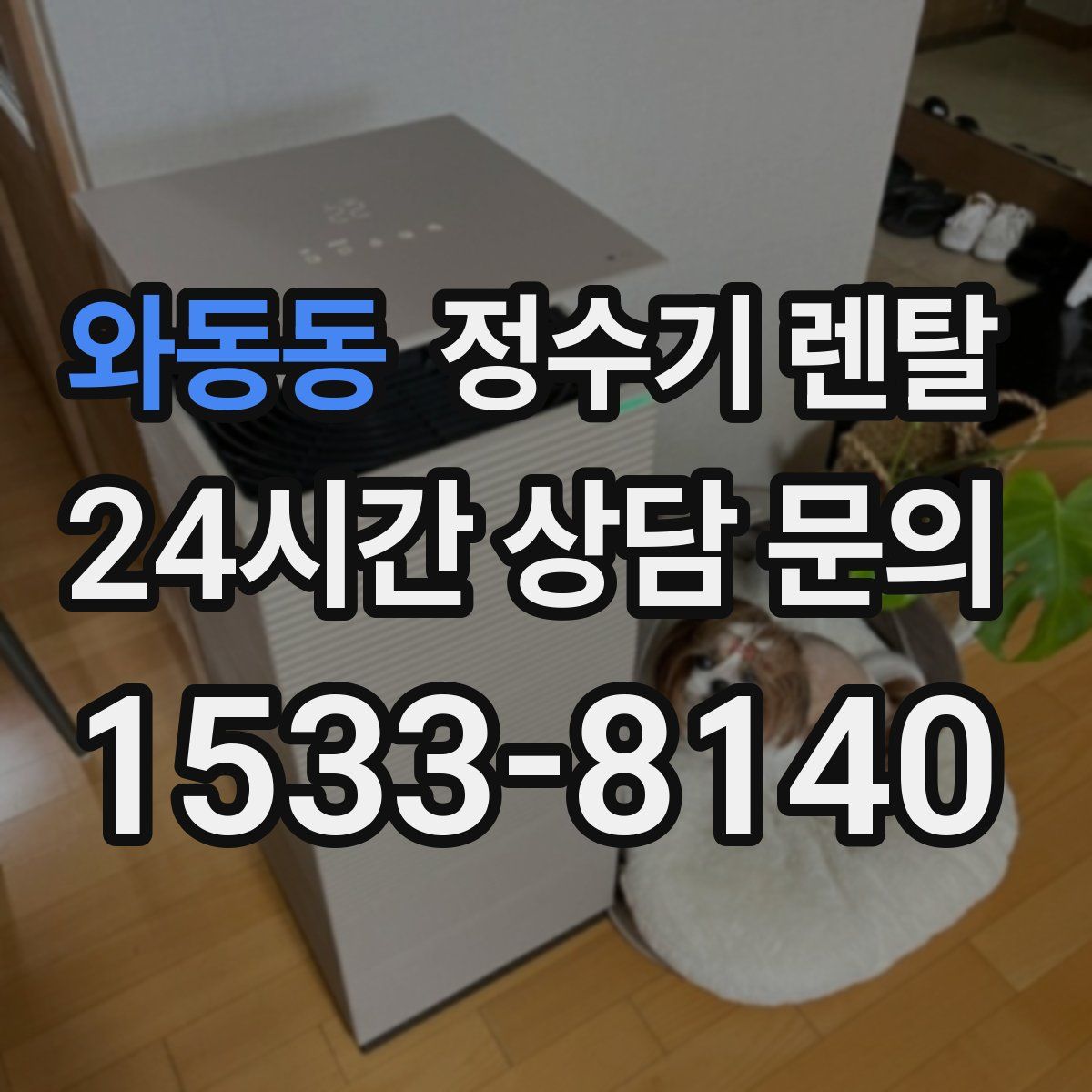 와동동 정수기 렌탈