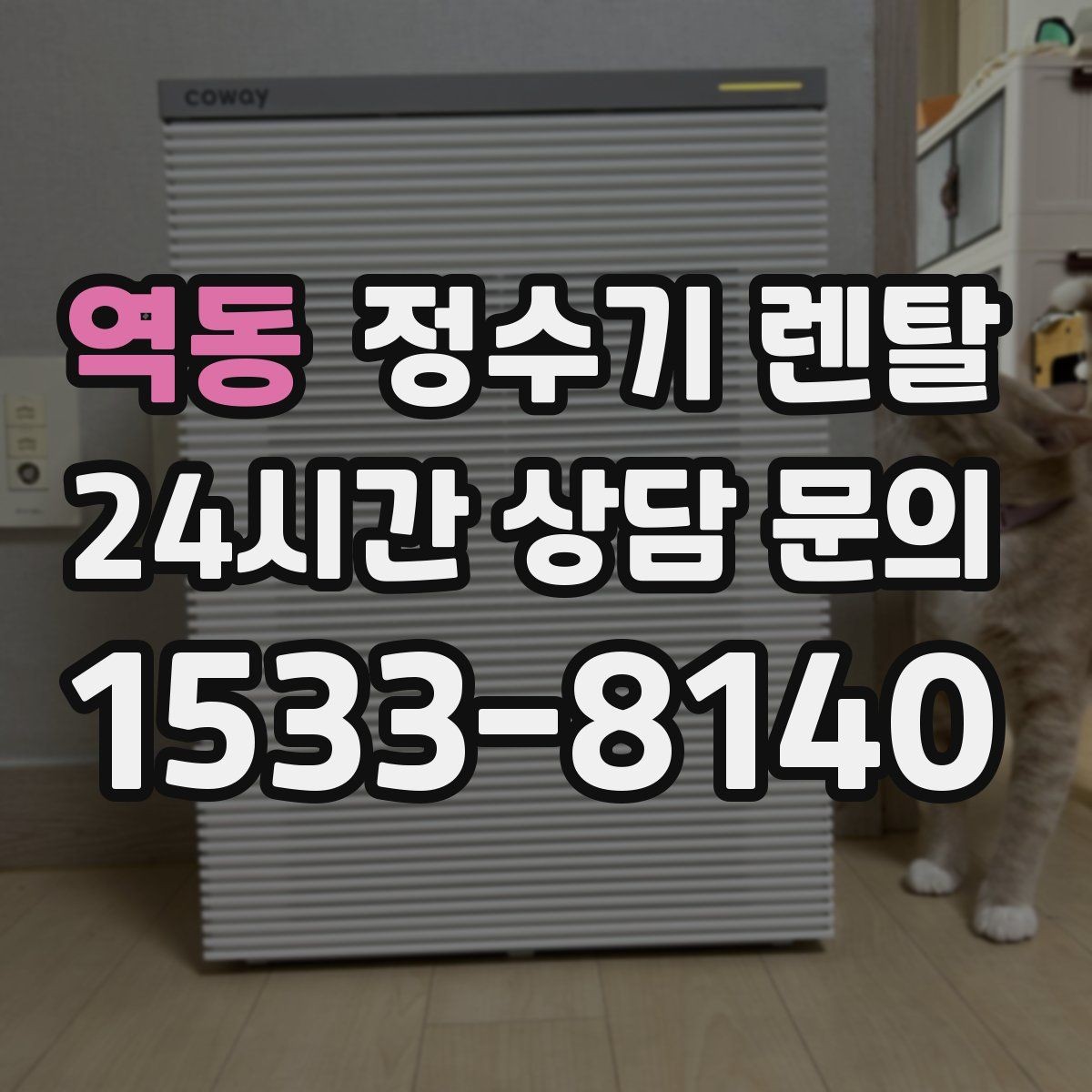 역동 정수기 렌탈 바쁜 직장인에게 추천되는 관리 방식