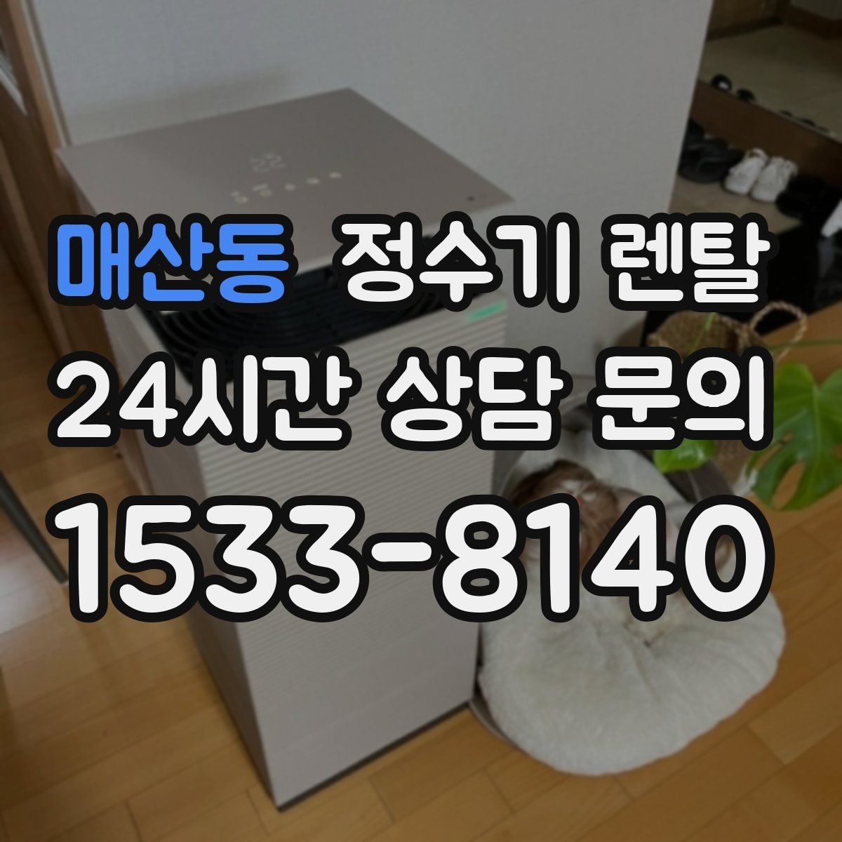 매산동 정수기 렌탈 필터 교체 주기를 놓치면 생기는 문제