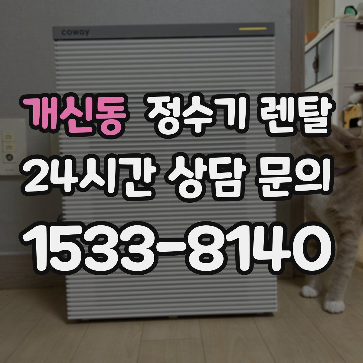 개신동 정수기 렌탈