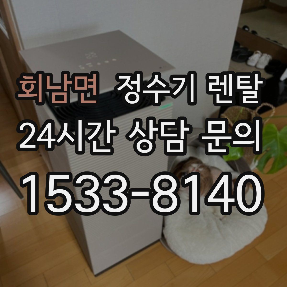 회남면 정수기 렌탈 색상 선택으로 주방 분위기 맞추기