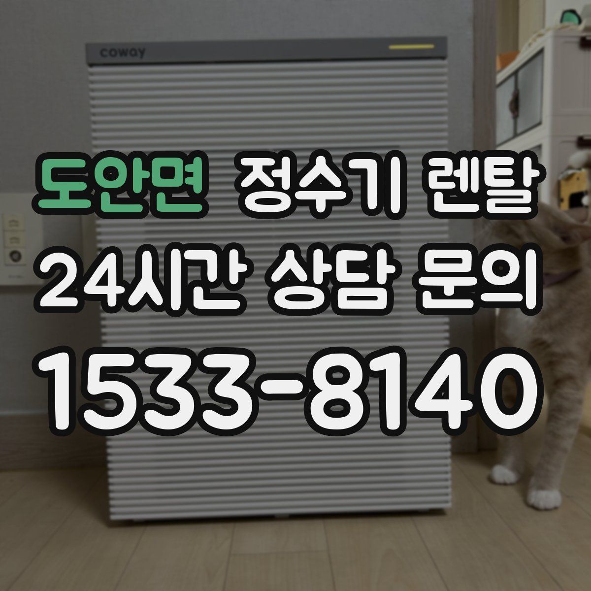 도안면 정수기 렌탈