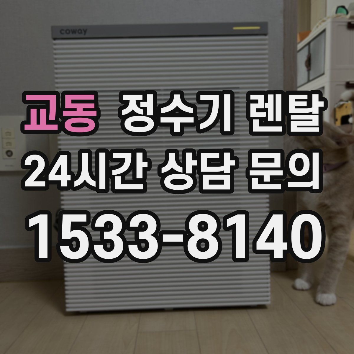 교동 정수기 렌탈