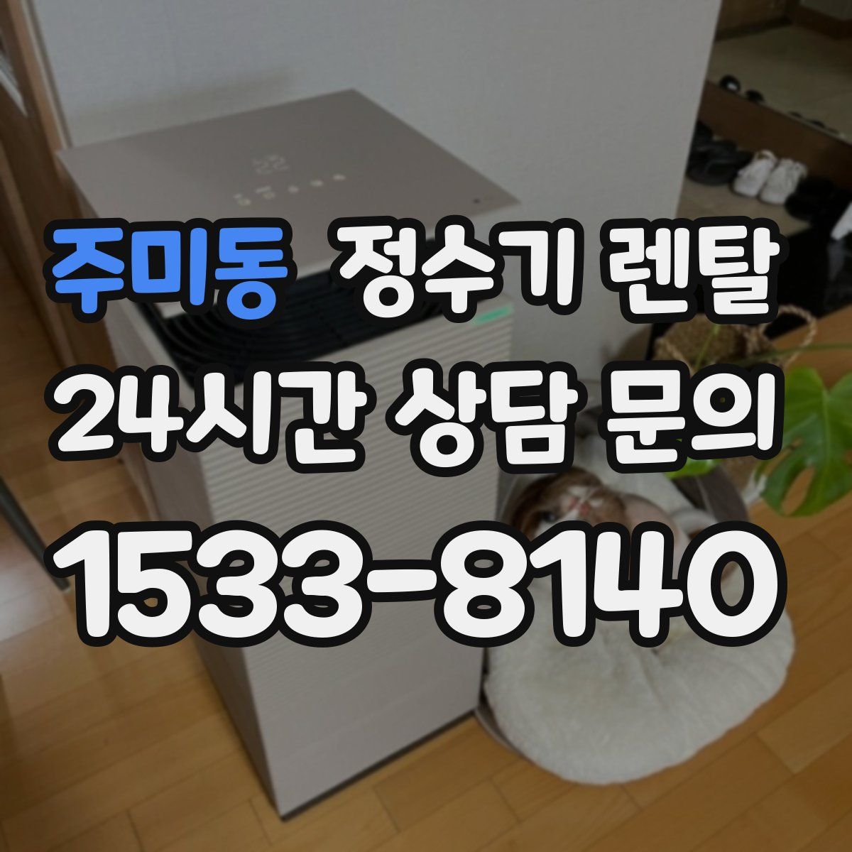 주미동 정수기 렌탈