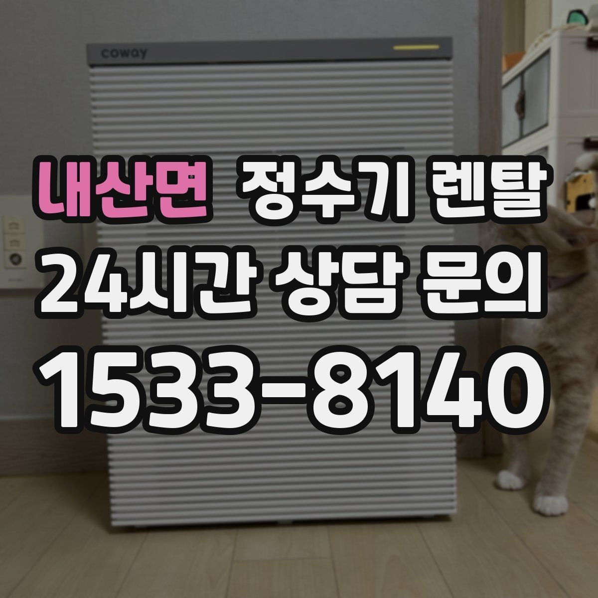내산면 정수기 렌탈 미네랄 유지형이 좋은 사람들
