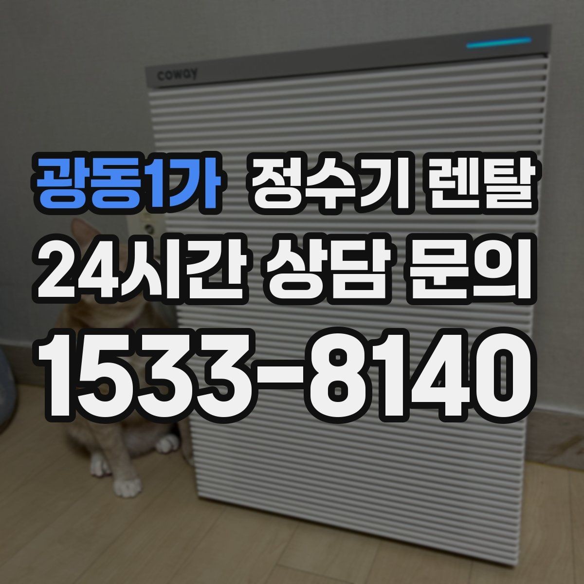 광동1가 정수기 렌탈 슬림형이 필요한 집의 특징