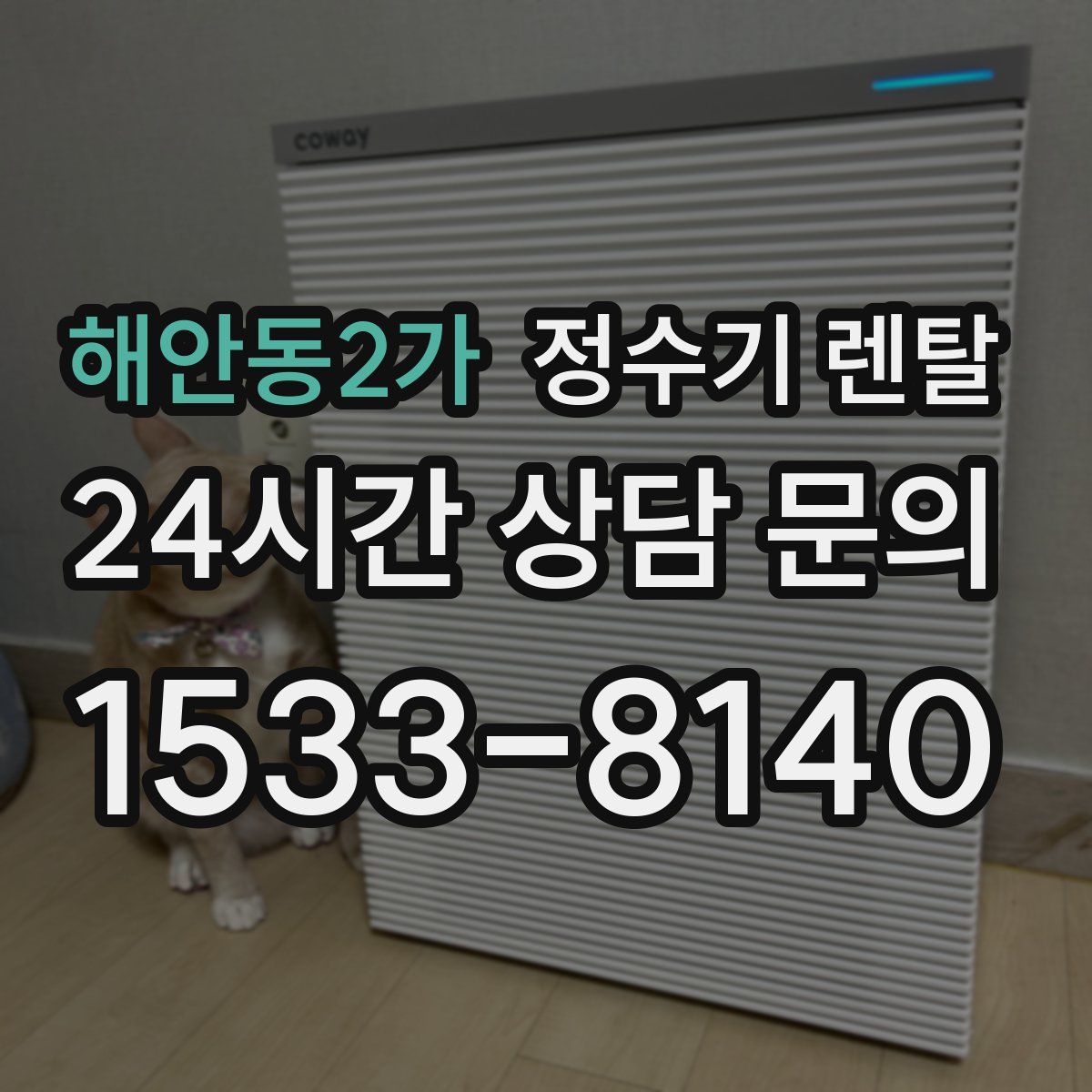 해안동2가 정수기 렌탈