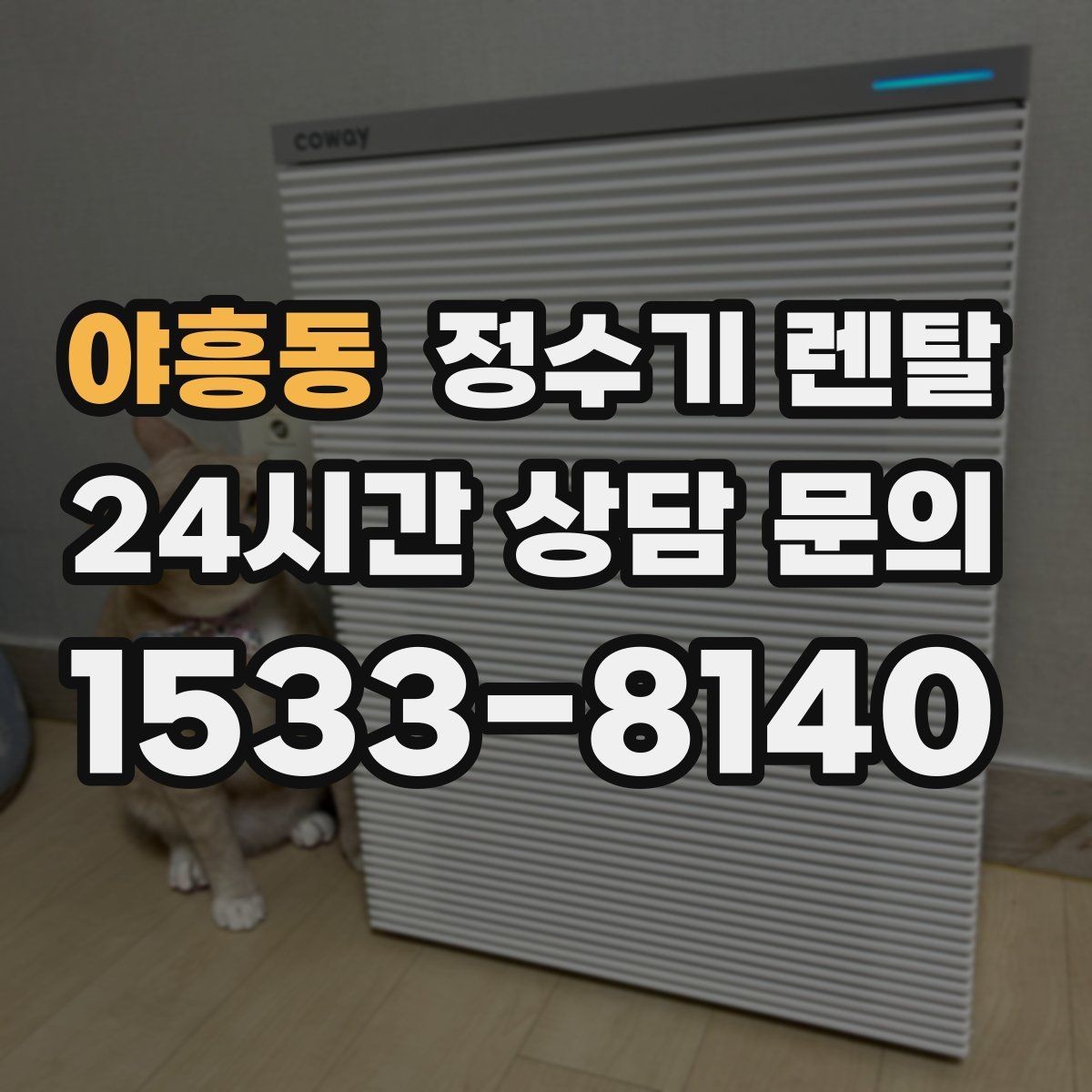 야흥동 정수기 렌탈 1인 가구에 딱 맞는 선택 기준