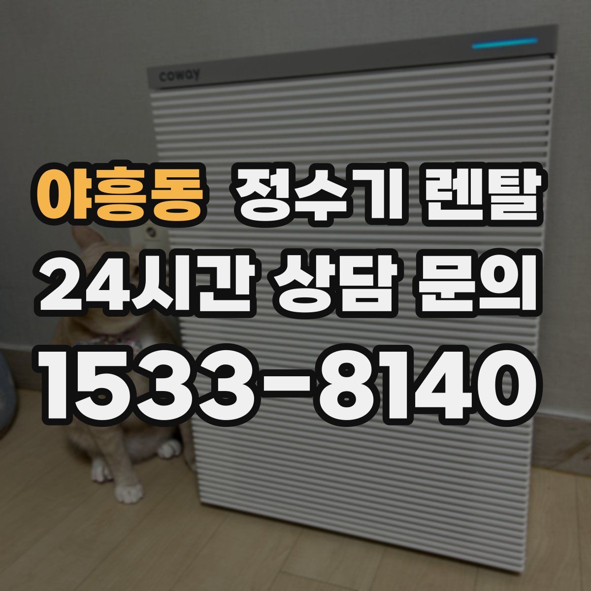 야흥동 정수기 렌탈