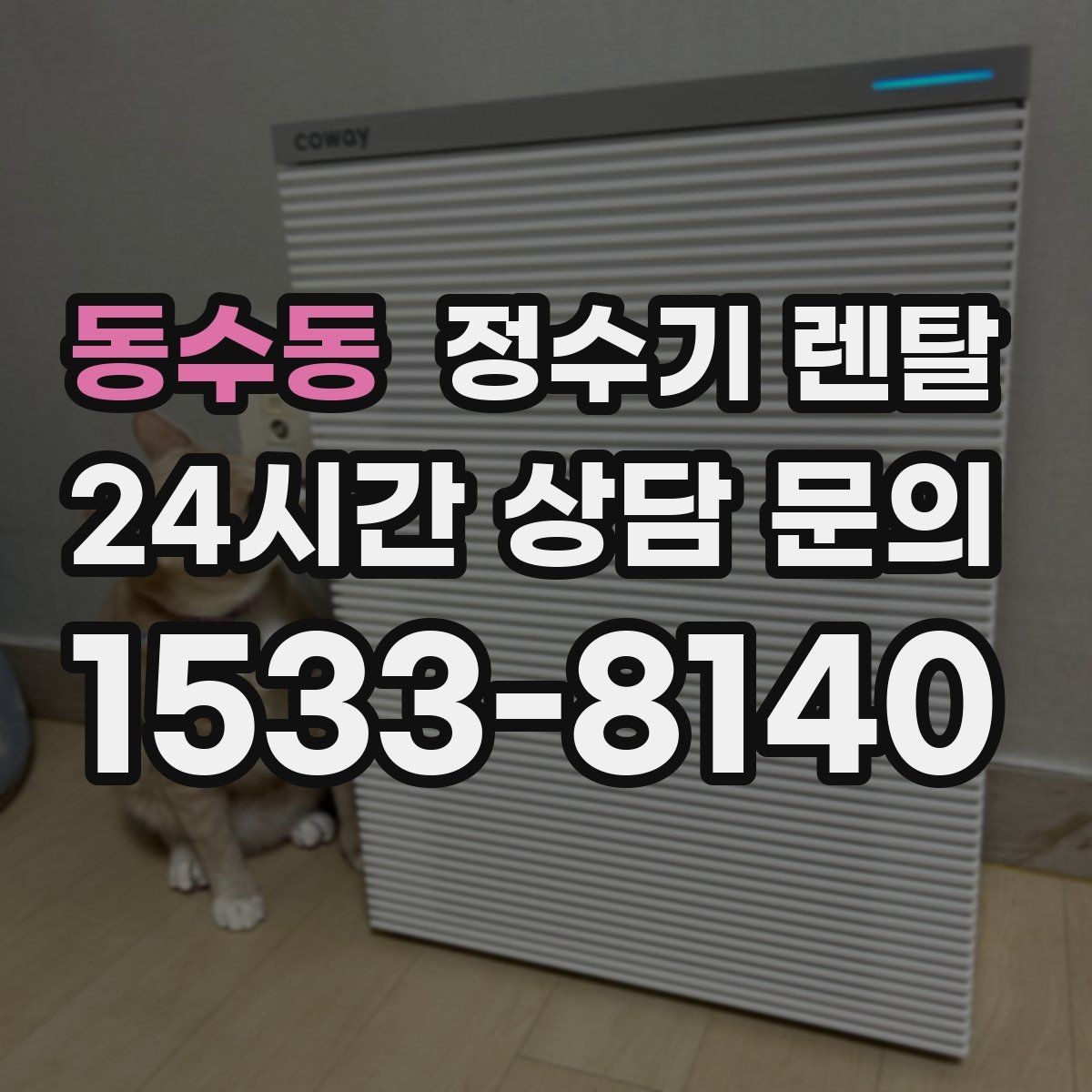 동수동 정수기 렌탈 1인 가구는 냉수 기능보다 중요한 포인트