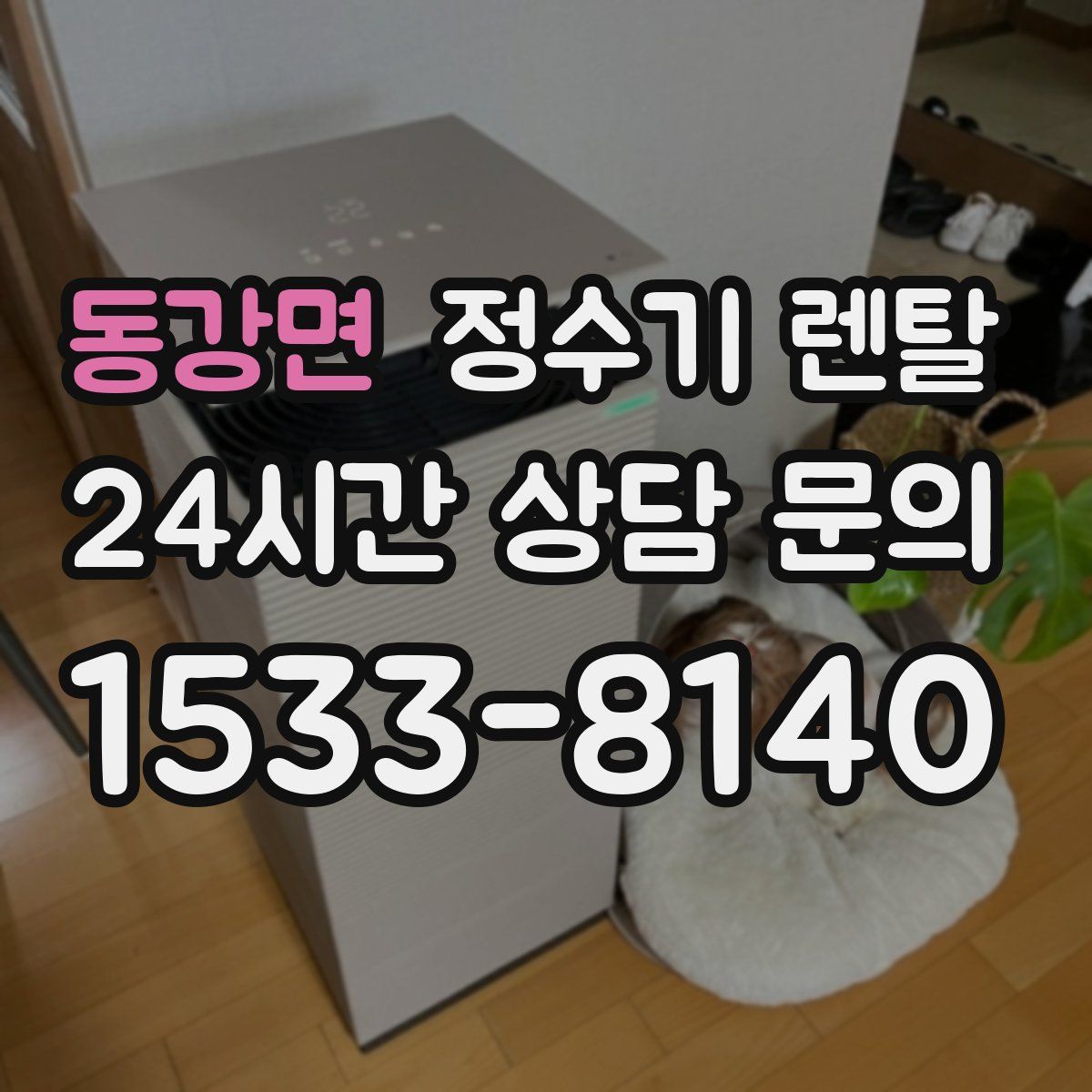 동강면 정수기 렌탈