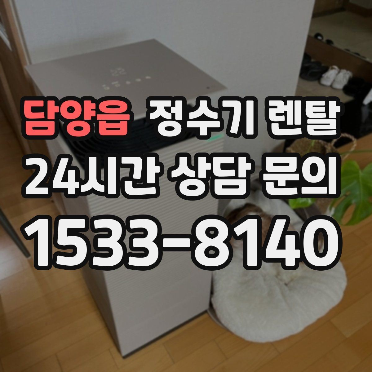 담양읍 정수기 렌탈 렌탈 vs 구매 어떤 게 더 이득일까