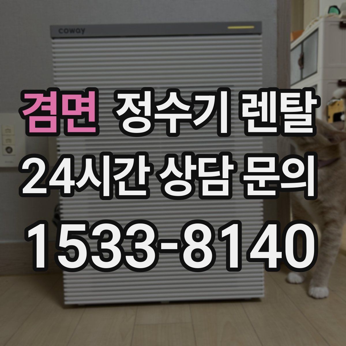 겸면 정수기 렌탈 하부장 공간이 작아도 가능한 설치 방식