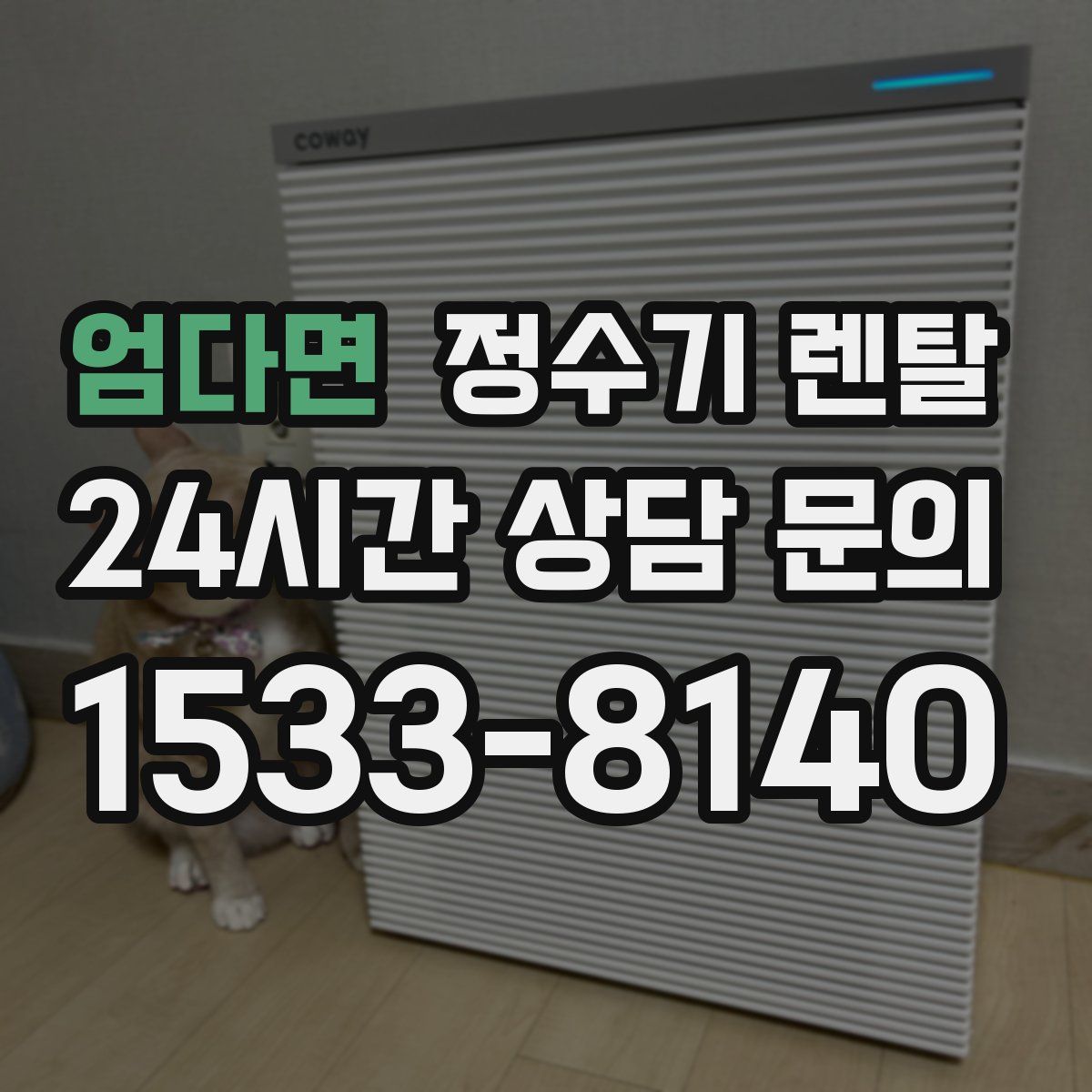 엄다면 정수기 렌탈