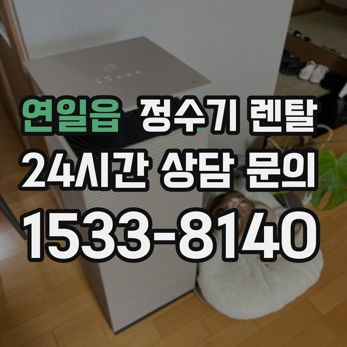 연일읍 정수기 렌탈 직수형이 인기인 이유와 장단점