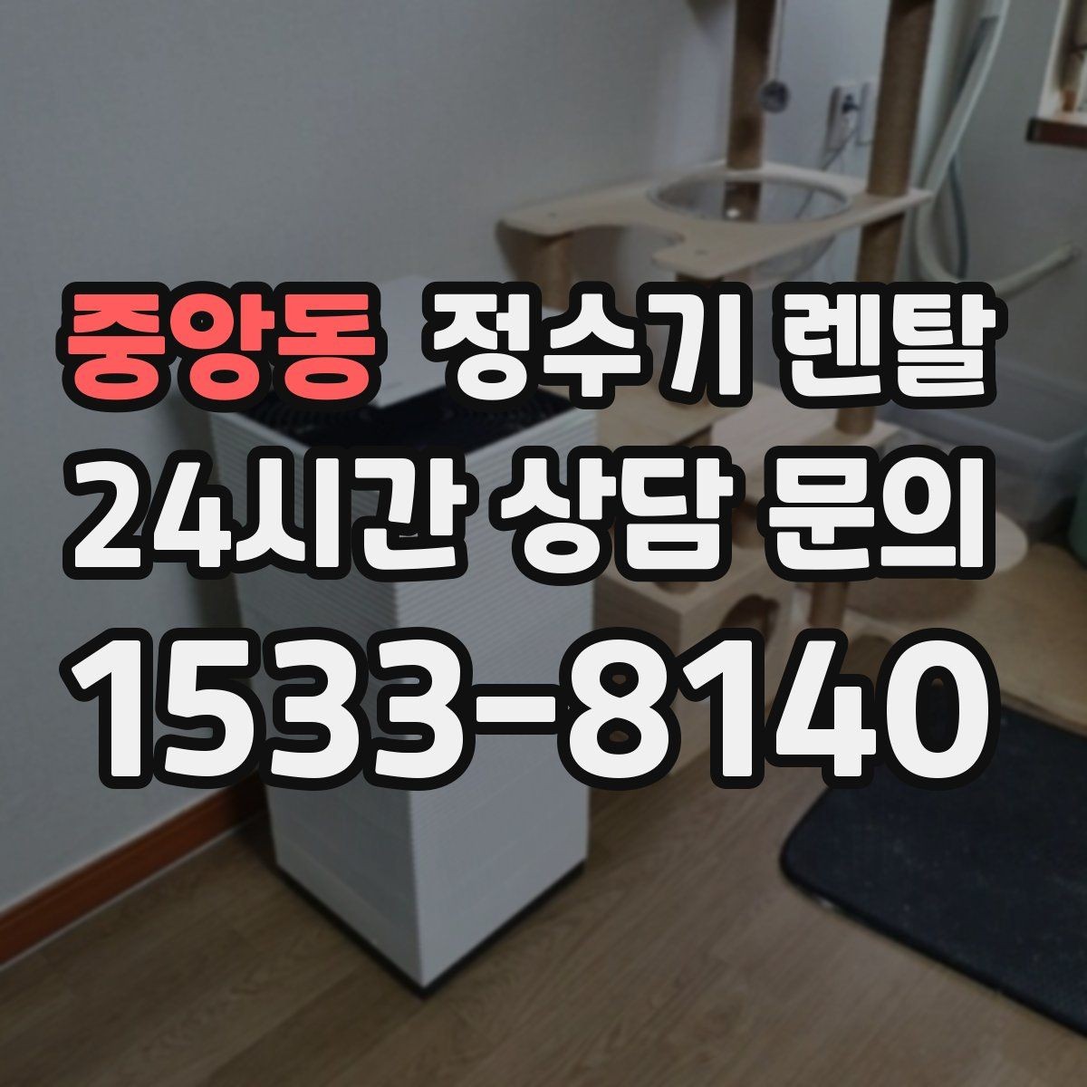 중앙동 정수기 렌탈 색상 선택으로 주방 분위기 맞추기