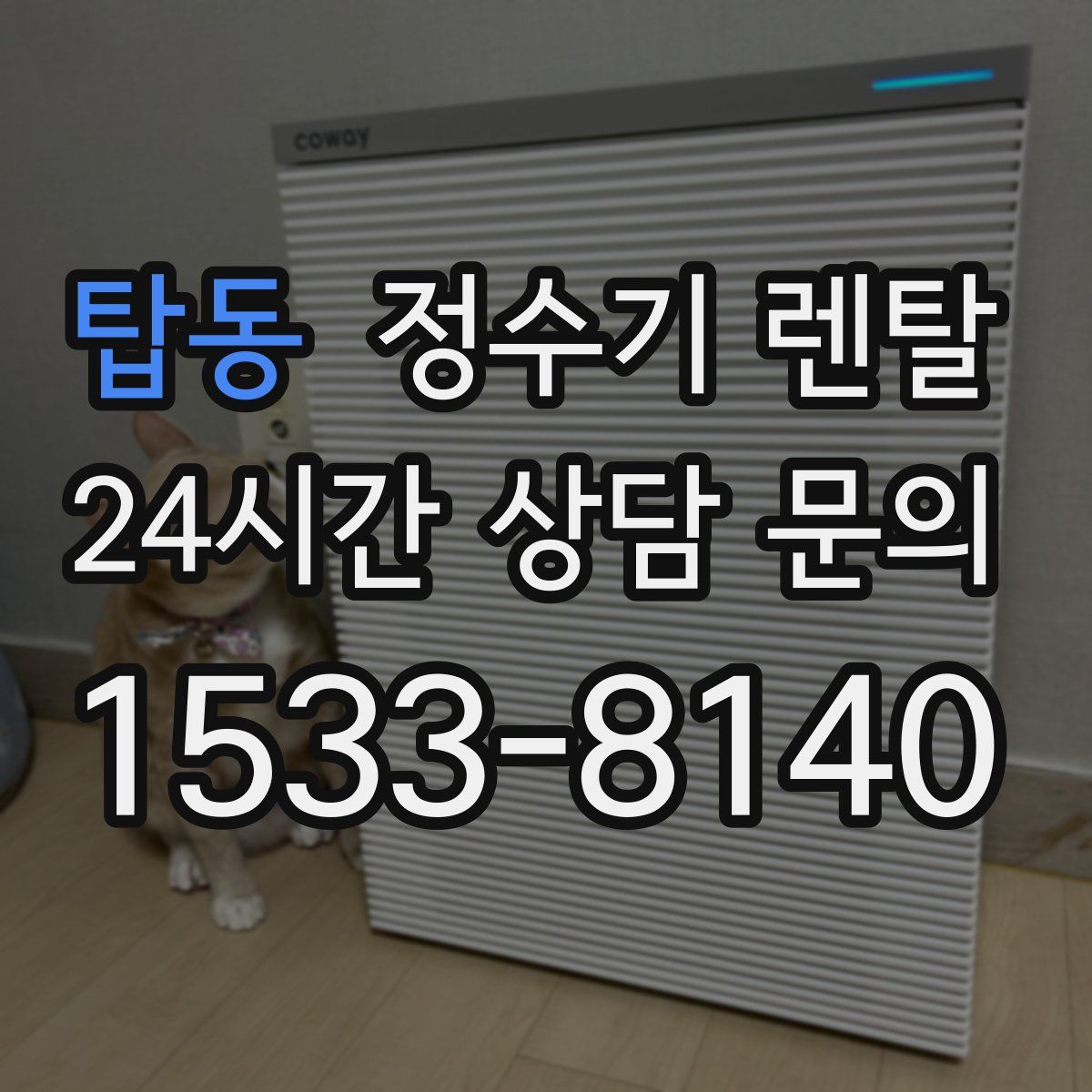 탑동 정수기 렌탈