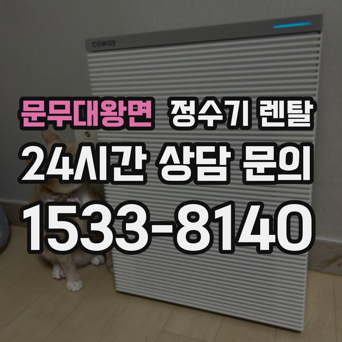 문무대왕면 정수기 렌탈 물맛이 달라지는 이유와 해결 팁