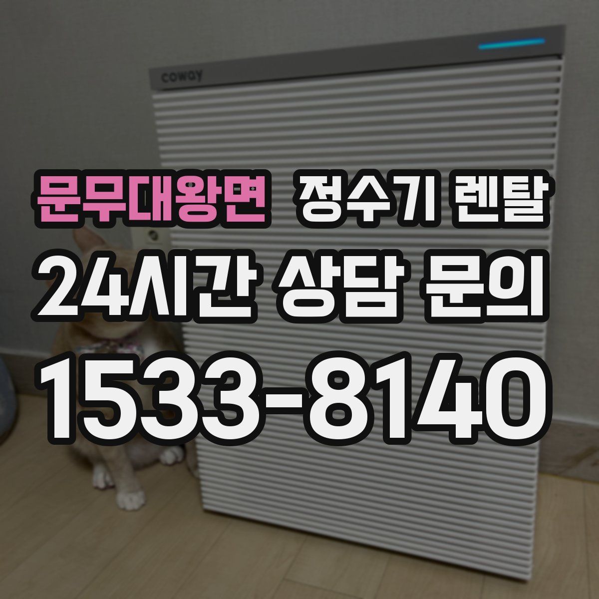 문무대왕면 정수기 렌탈