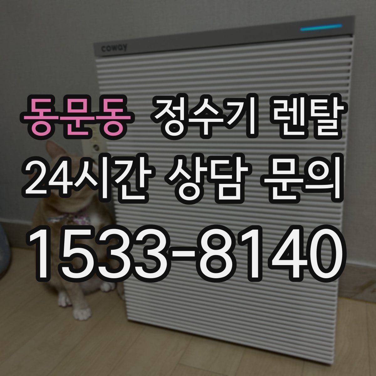 동문동 정수기 렌탈 절전 모드 설정만으로 달라지는 이유