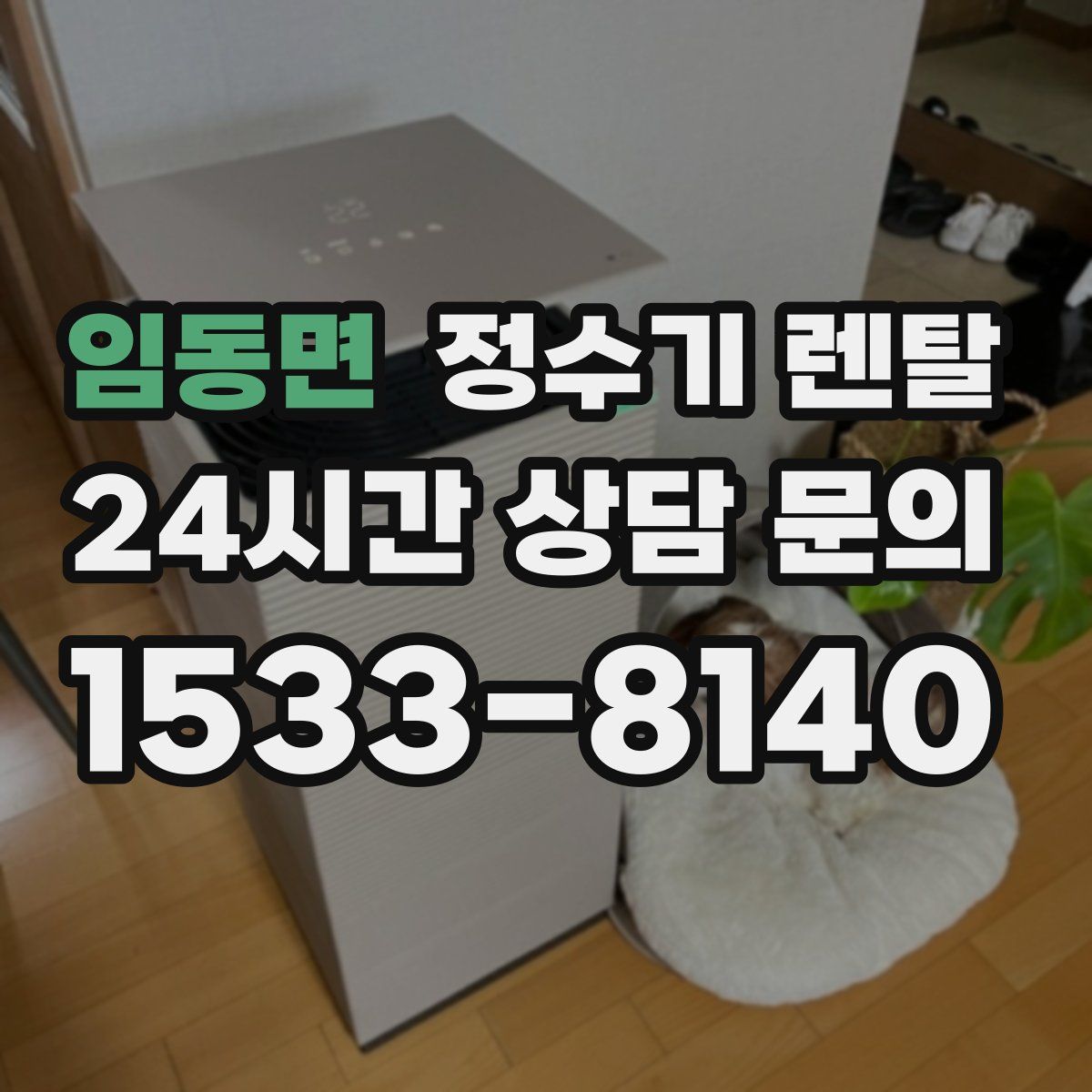 임동면 정수기 렌탈