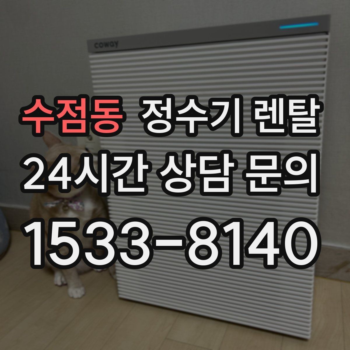 수점동 정수기 렌탈 수돗물 냄새가 신경 쓰이면 선택 포인트