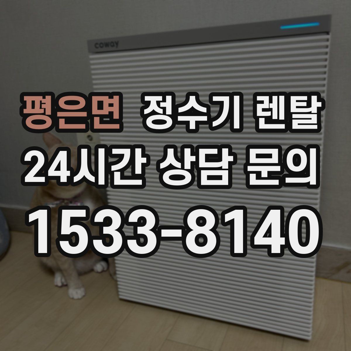 평은면 정수기 렌탈 빌트인형과 스탠드형 차이 정리