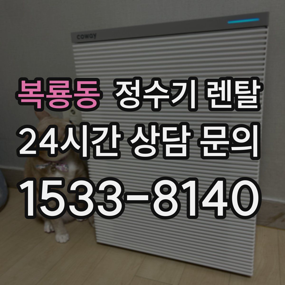 복룡동 정수기 렌탈