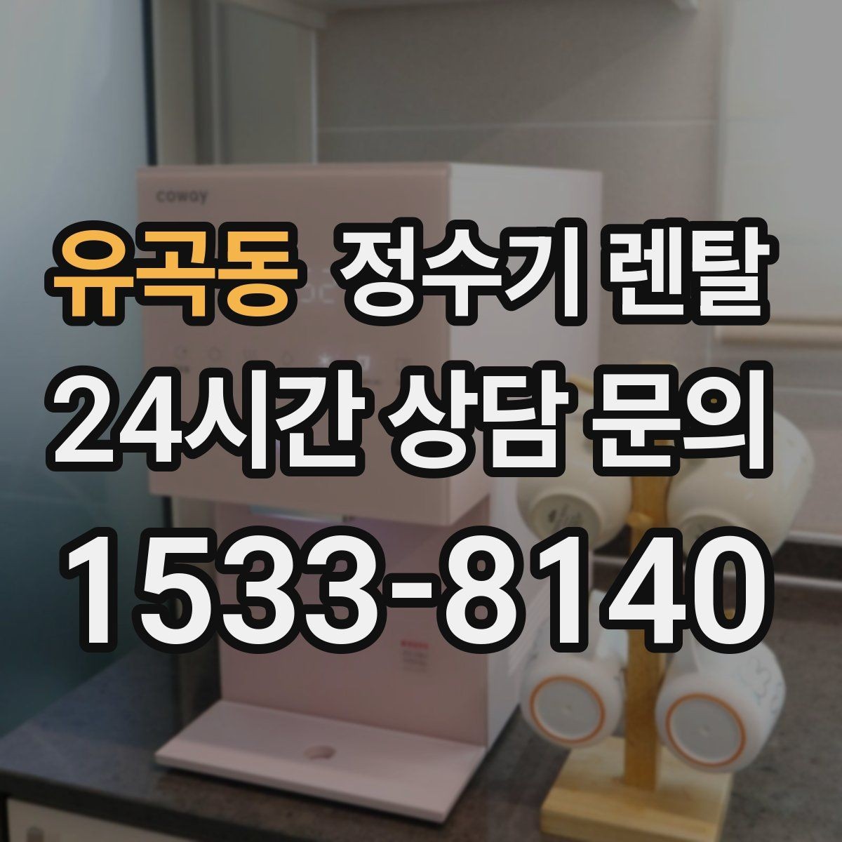 유곡동 정수기 렌탈 자가 교체형 필터 장단점 정리