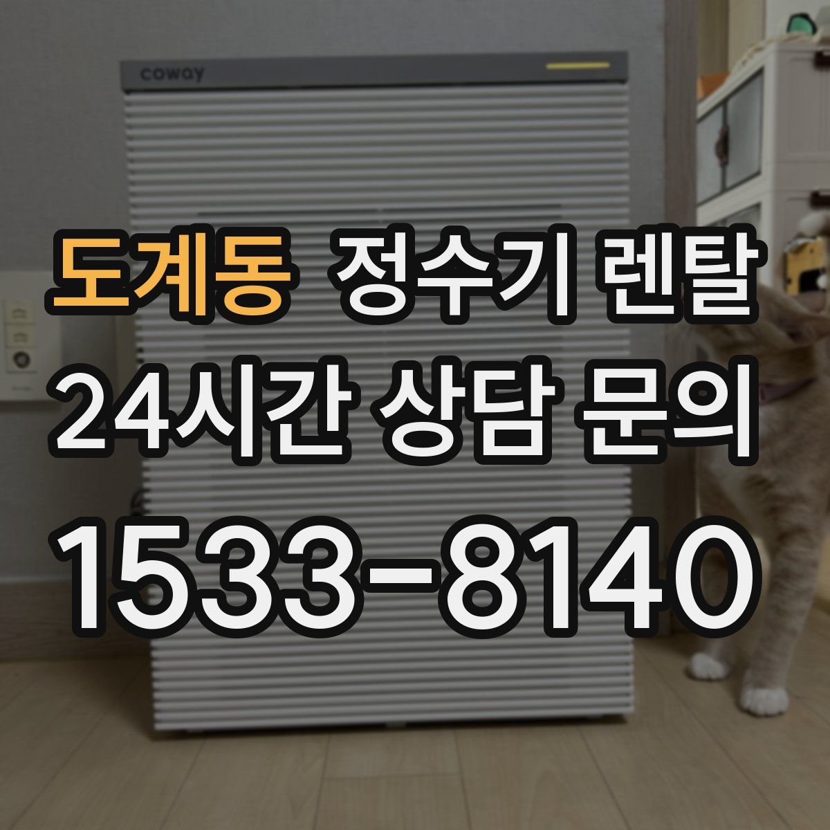 도계동 정수기 렌탈