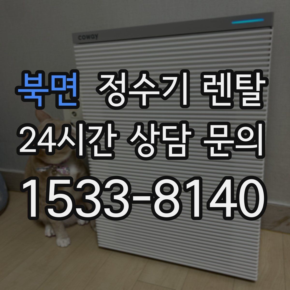 북면 정수기 렌탈 차(티) 즐기는 집에 추천되는 구성