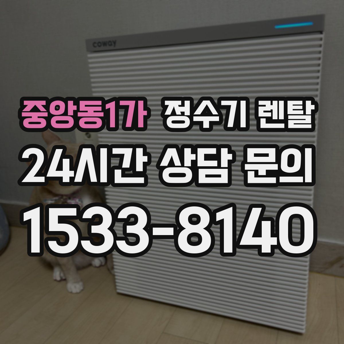 중앙동1가 정수기 렌탈