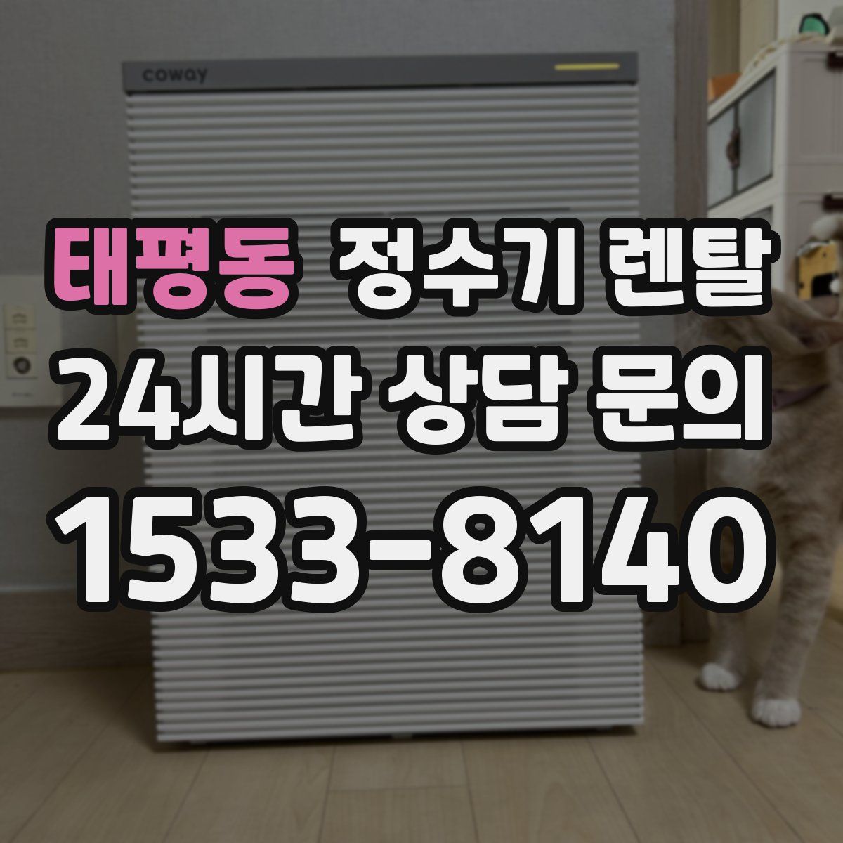 태평동 정수기 렌탈