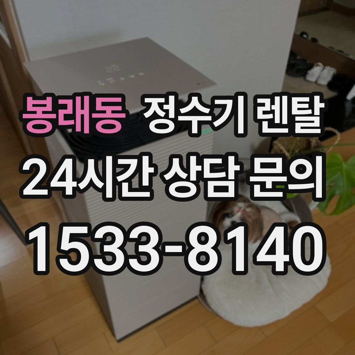 봉래동 정수기 렌탈