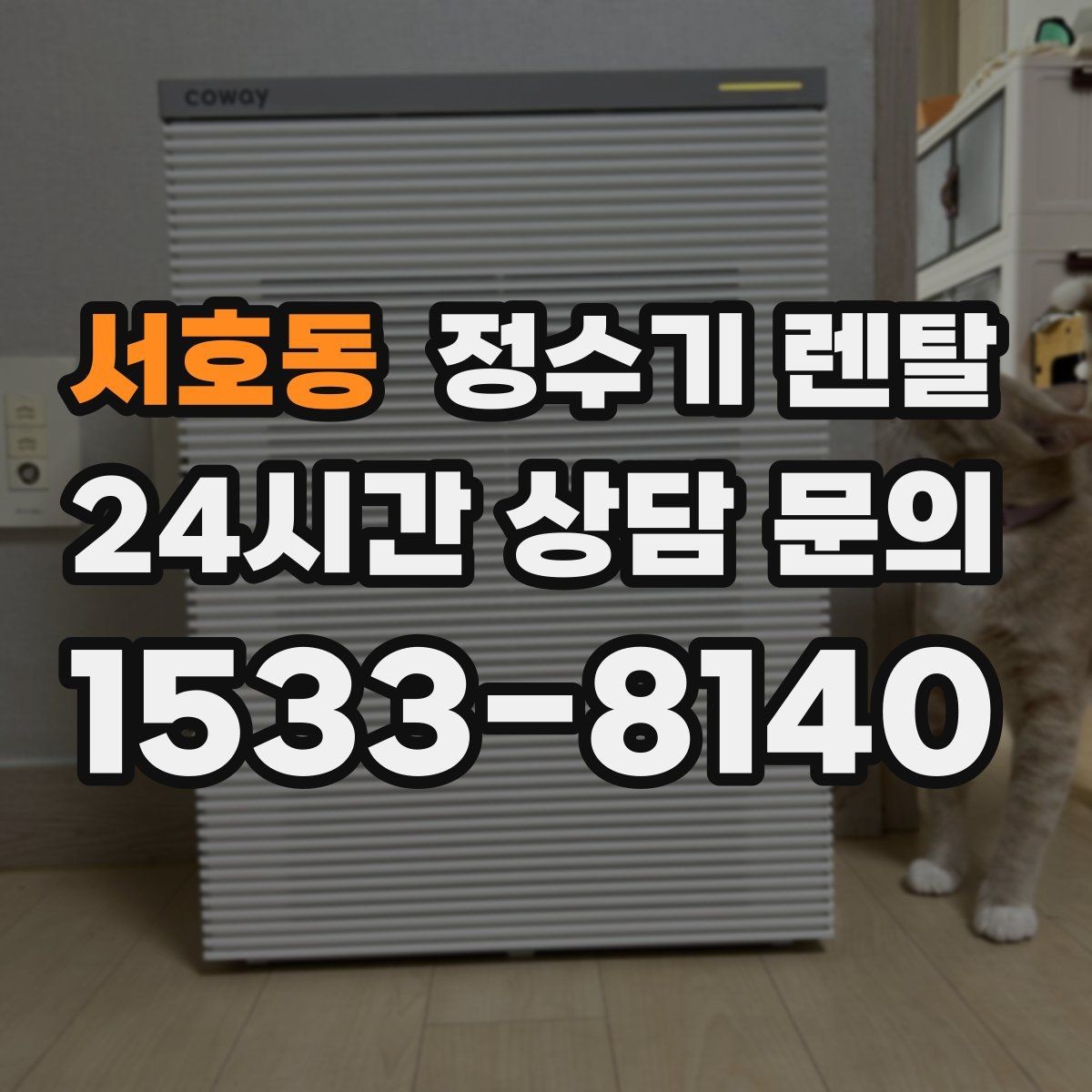 서호동 정수기 렌탈 위생 좋은 정수기 고르는 현실 체크리스트