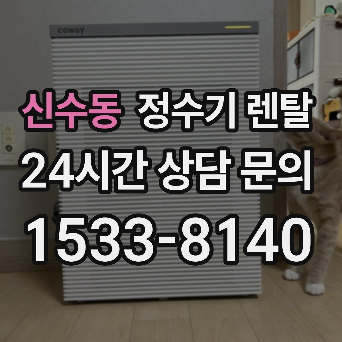 신수동 정수기 렌탈 정수 전용이 더 좋은 경우 정리