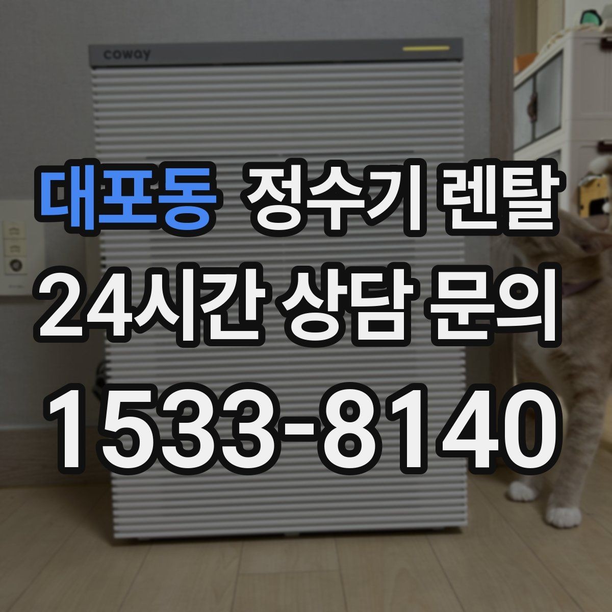 대포동 정수기 렌탈 설치부터 관리까지 한 번에 정리했습니다