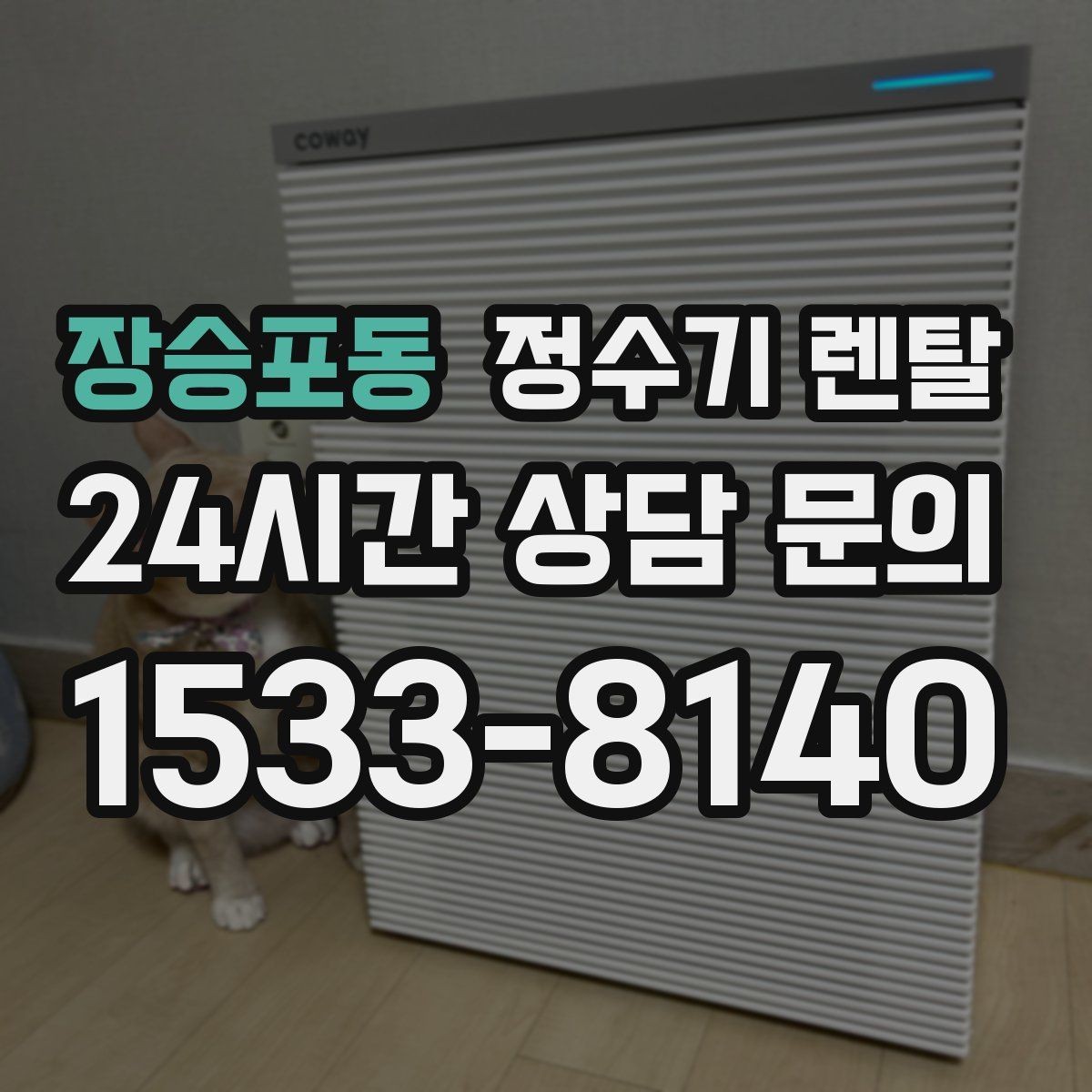 장승포동 정수기 렌탈 바쁜 직장인에게 추천되는 관리 방식