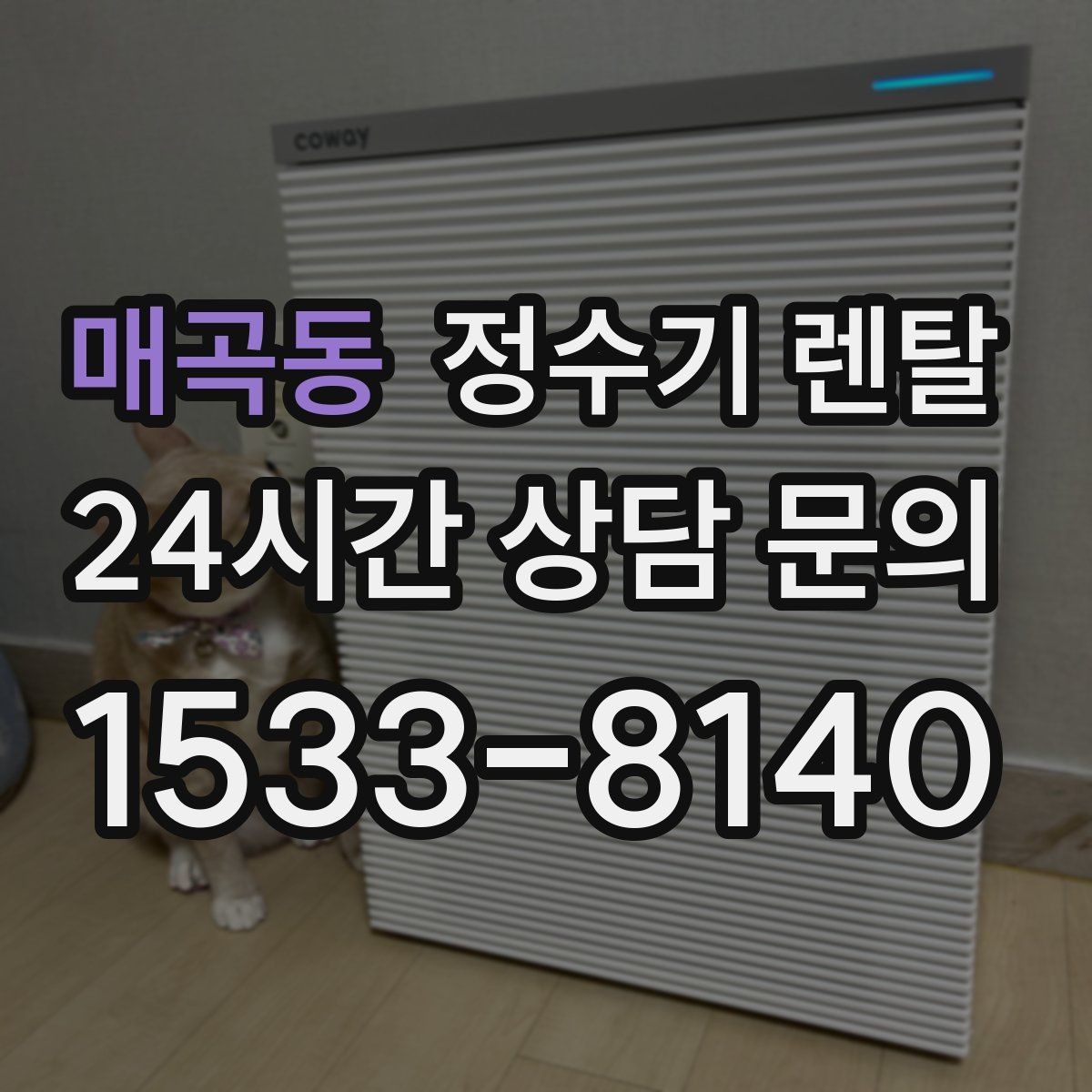 매곡동 정수기 렌탈 얼음 정수기 장점과 관리 포인트