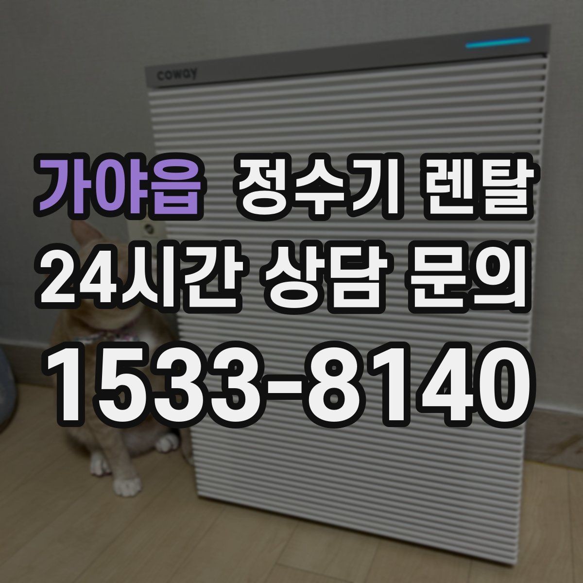 가야읍 정수기 렌탈 겨울철 냉수 기능을 덜 써도 관리가 필요한 이유