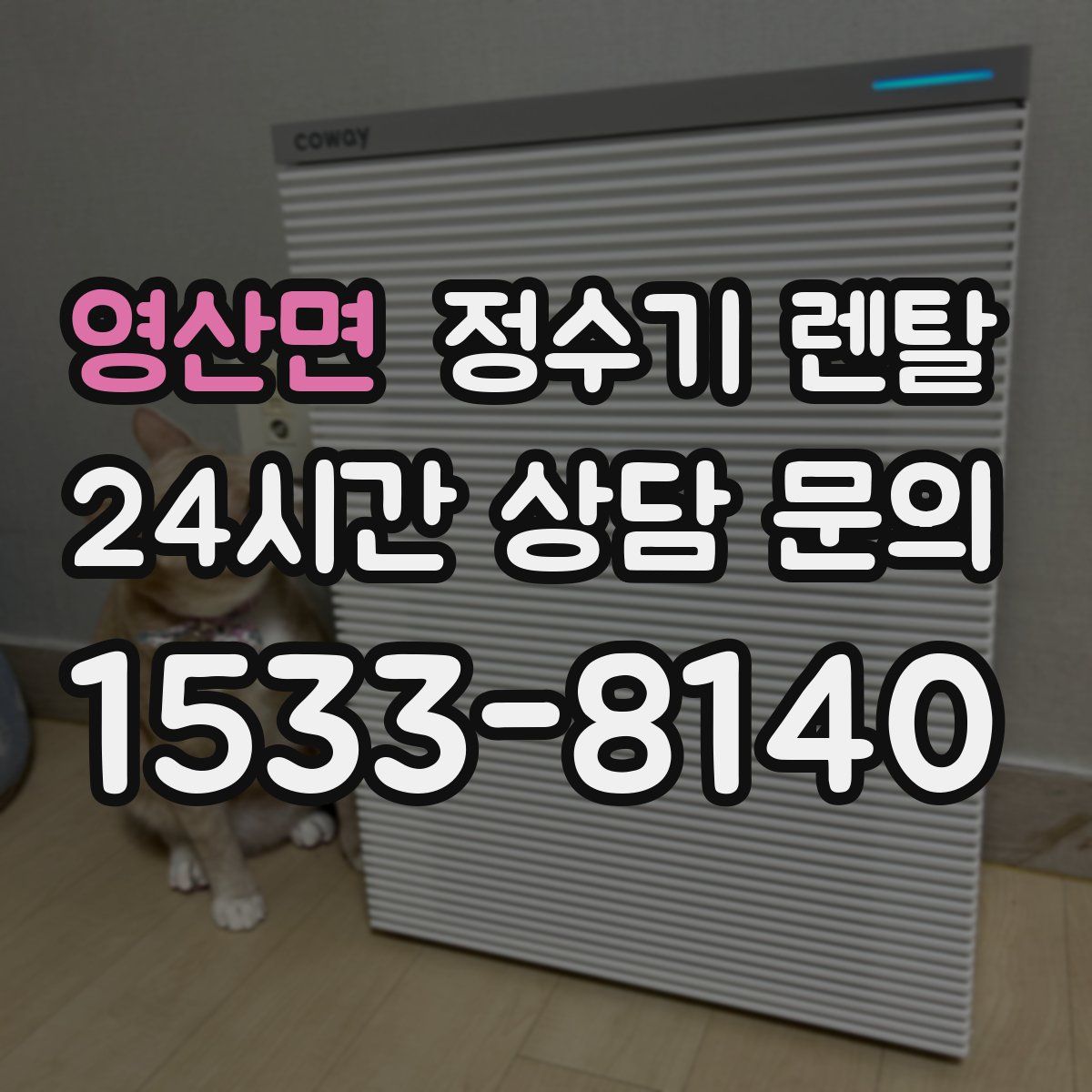 영산면 정수기 렌탈