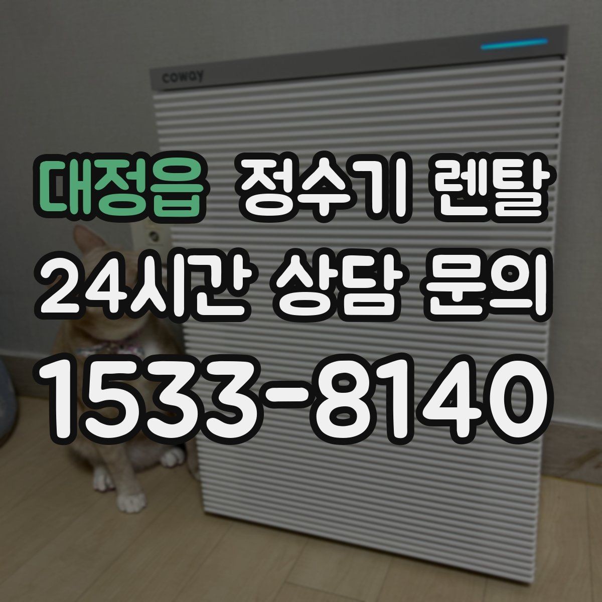 대정읍 정수기 렌탈 자가 교체형 필터 장단점 정리