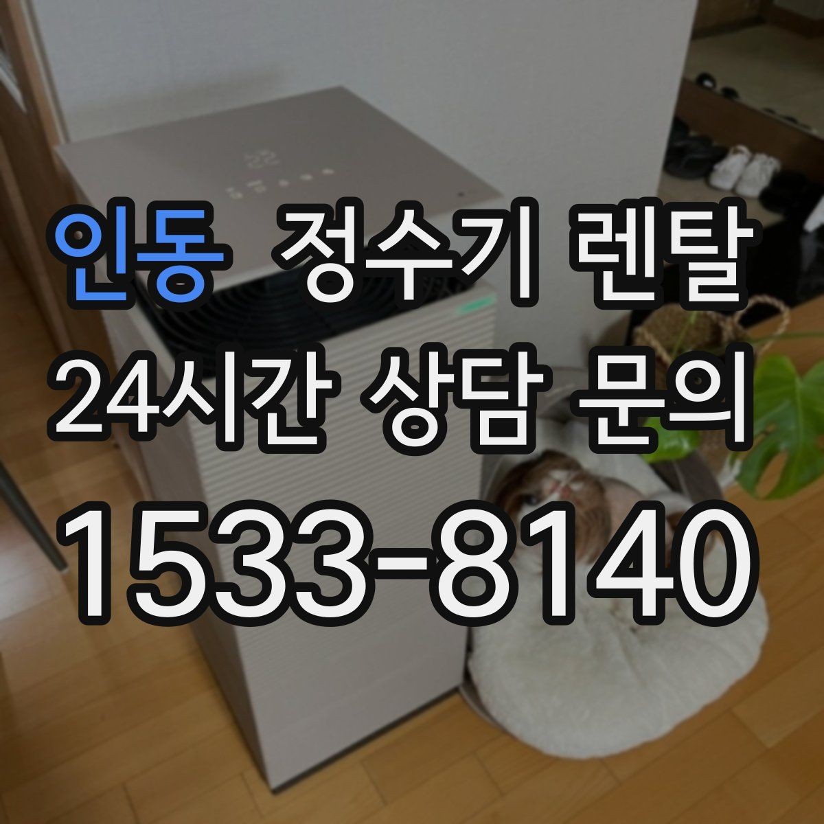 인동 정수기 렌탈 신혼집에 어울리는 슬림형 추천 포인트