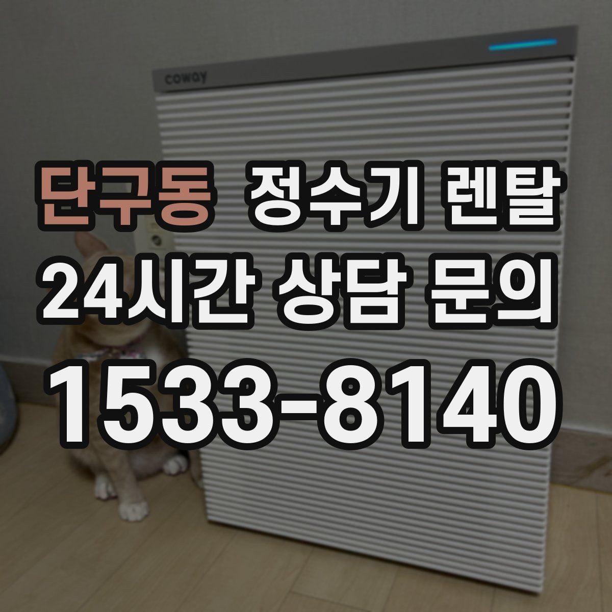 단구동 정수기 렌탈 할인 조건이 까다로울 때 확인할 것